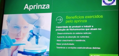 Com novo inoculante microbiológico a cana ganha sistema radicular mais robusto e com maior capacidade de absorção de nutrientes