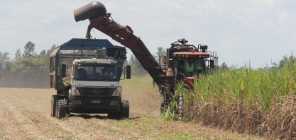 Safra da Agrocana Caiana, em Lençóis Paulista, contou com caminhão com direção autônoma
