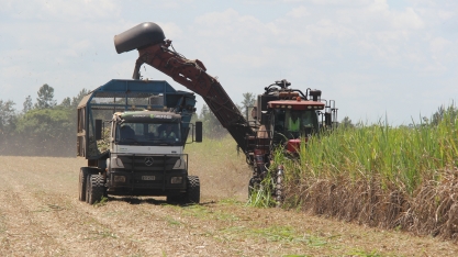 Safra da Agrocana Caiana, em Lençóis Paulista, contou com caminhão com direção autônoma