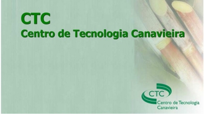 CTNBio aprova nova modificação genética em variedade de cana do CTC