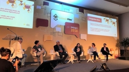 Convivência e comunicação com apicultores são os destaques em evento do Colmeia Viva