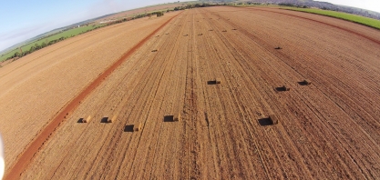 Agro na economia circular