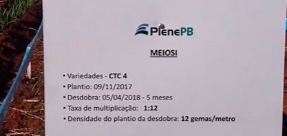 MEIOSI DE CTC4 COM PLENE PB ATINGE ALTAS TAXAS DE MULTIPLICAÇÃO