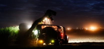 Oportunidades de Trabalho na Pedra Agroindustrial