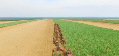 MT aumenta produção de cana-de-açúcar e de etanol nesta safra