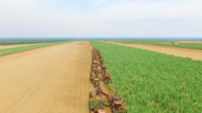 MT aumenta produção de cana-de-açúcar e de etanol nesta safra