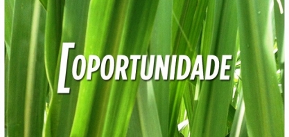 Biosev oferece oportunidades de trabalho em MS