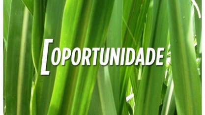 Biosev oferece oportunidades de trabalho em MS