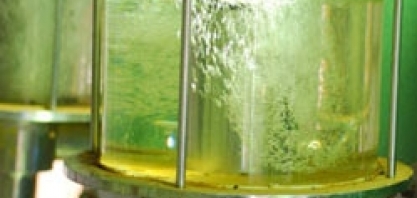 Etanol: hidratado cai 0,01% e anidro valoriza 0,18% na semana