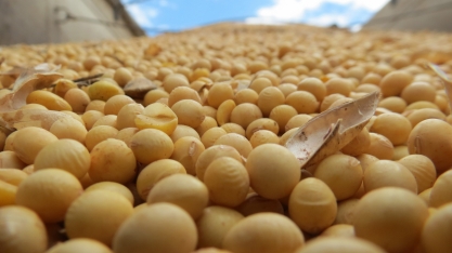 Roberto Rodrigues, ex-Ministro da Agricultura, figura como um dos pioneiros na rotação de cana-de-açúcar com soja