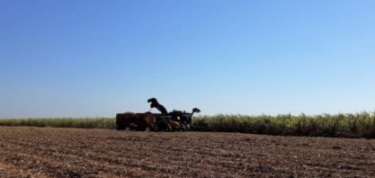 Com produção a todo vapor, moagem de cana pode chegar a 48 milhões de ton em MS