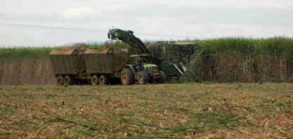 CEPEA: agronegócio de SP cai quase 5%