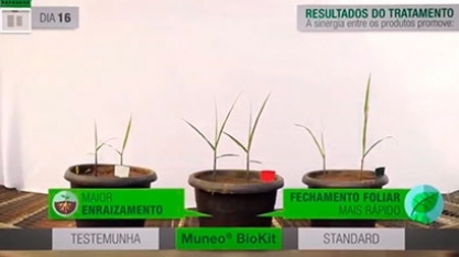 Veja um comparativo de 60 dias com o uso de Muneo® BioKit