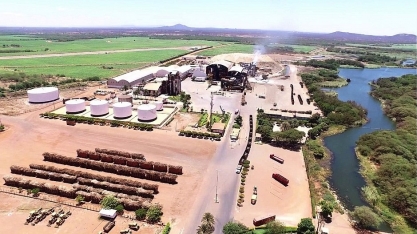 Agronegócio tem perspectivas positivas para 2019 na BAHIA