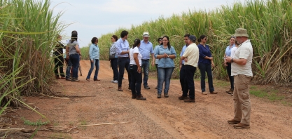 Representantes de entidades internacionais visitam produtores de cana e conferem a sustentabilidade na prática