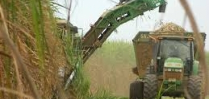 Fórum Sucroenergético participa de reunião com Ministro de Minas e Energia