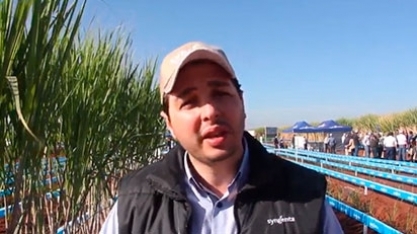 CONFIRA COMO ELEVAR SUAS TAXAS DE MULTIPLICAÇÃO NA MEIOSI