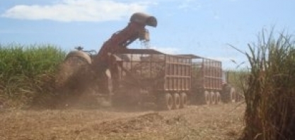 Projeção safra cana-de-açúcar 2019/20