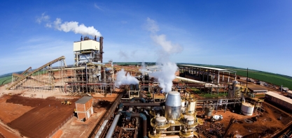 Açúcar: Preços interno e externo não reagem à queda da produção no BR