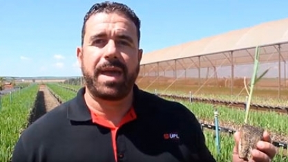TECNOLOGIA PROMETE DIMINUIR NECESSIDADE DE IRRIGAÇÃO NO MANEJO DE MPBs