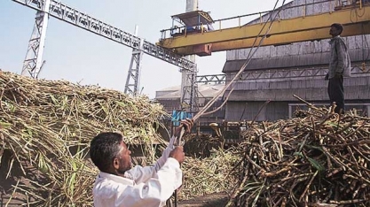 Açúcar/Índia: produção em 2018/19 antinge 14,6 mi de t até 15 de janeiro, alta de 8,32%