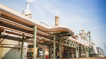 Usina inicia recrutamento para contratação de 400 trabalhadores para a próxima safra