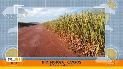 Falta de chuva prejudica produção de cana no Norte Fluminense