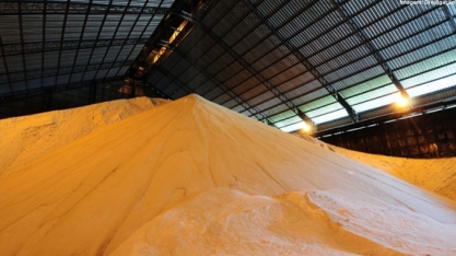 Açúcar segue em alta nas bolsas internacionais