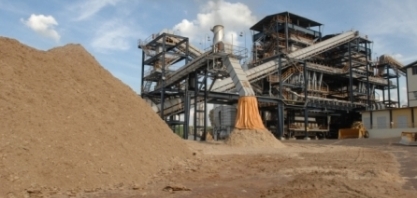 Números da bioeletricidade em 2018 e uma agenda mínima para 2019