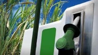 Preço do etanol foi o que mais variou em MT