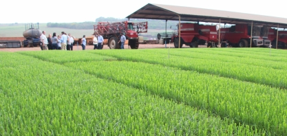 Gestão sustentável de produtores de cana do estado de São Paulo superou as expectativas de comitiva internacional