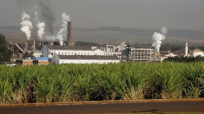 Inspirada em tecnologia médica, técnica identifica contaminantes na produção de etanol