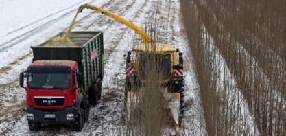 Recursos renováveis superam carvão como principal fonte energética da Alemanha