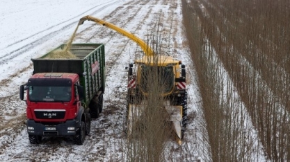 Recursos renováveis superam carvão como principal fonte energética da Alemanha