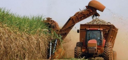 Cana/Conab: país deve colher 615,84 mi de t em 2018/19