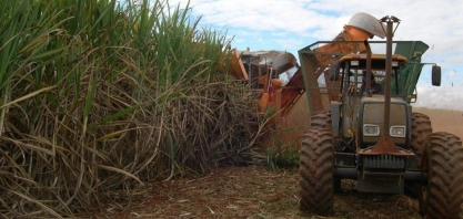 Minas Gerais já moeu 62,3 mi de ton de cana até o final de dezembro