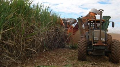 Minas Gerais já moeu 62,3 mi de ton de cana até o final de dezembro