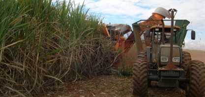 Presidente da SIAMIG grava vídeo com balanço da safra 2018/19