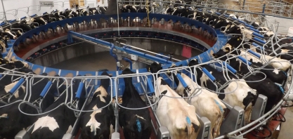 Soro de leite vira biocombustível na Argentina