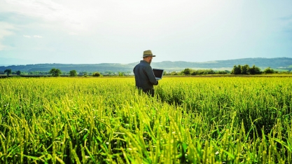 Revolução tecnológica transforma o campo no Brasil
