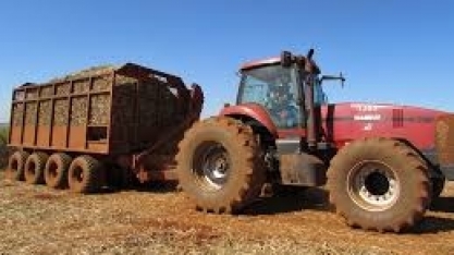 Potencial da bioenergia é destaque em vídeo apresentado em Davos