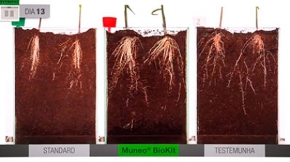Veja um comparativo de 40 dias com o uso de Muneo® BioKit
