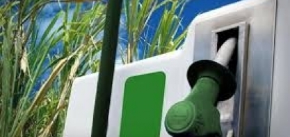 Etanol recua em 15 Estados, diz ANP; preço médio cai 0,04% no País