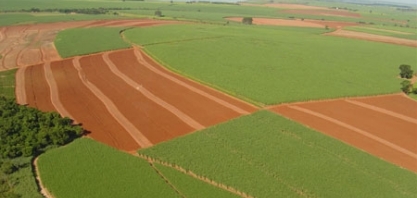 Um ano difícil para as empresas sucroalcooleiras