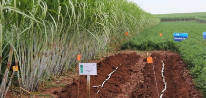 Secretário de agricultura diz que SP está aberto para receber investidores