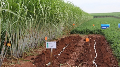 Secretário de agricultura diz que SP está aberto para receber investidores