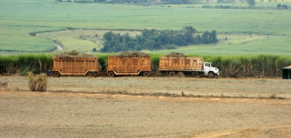 Proposta para novo Fethab inclui cobrança sobre milho e cana e aumento de tarifas em MT
