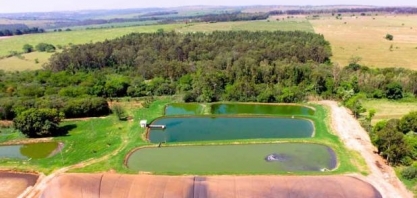 Fecularia troca lenha por biogás para abastecer secadores