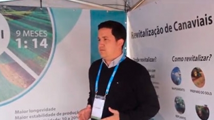 REPLANTAR FALHAS COM PLENE PB GARANTE STAND AO CANAVIAL