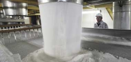 Usinas de açúcar da Índia lutam para exportar excedente diante de preços mais baixos